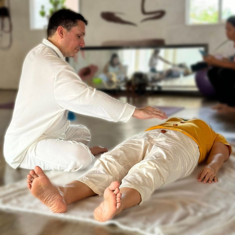 Reiki 3/Reiki Master Healer